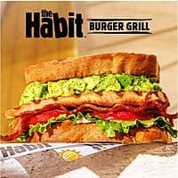 Habit Burger & Grill Offer: Habit Chicken Club Sandwich